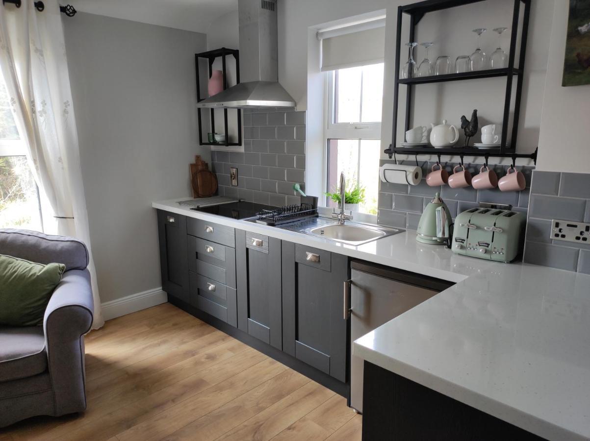 Apartments At Ballinsheen House & Gardens 利敦瓦纳 外观 照片
