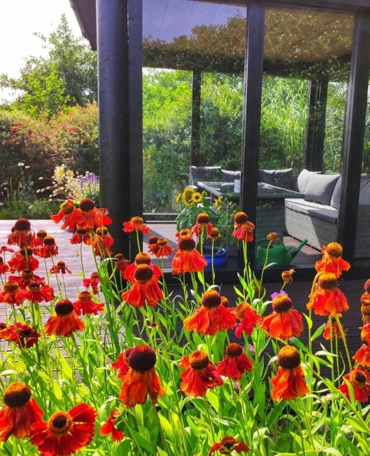 Apartments At Ballinsheen House & Gardens 利敦瓦纳 外观 照片