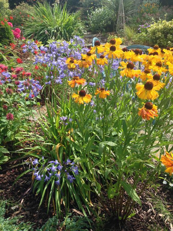 Apartments At Ballinsheen House & Gardens 利敦瓦纳 外观 照片