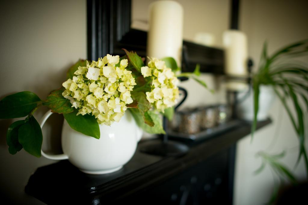Apartments At Ballinsheen House & Gardens 利敦瓦纳 外观 照片
