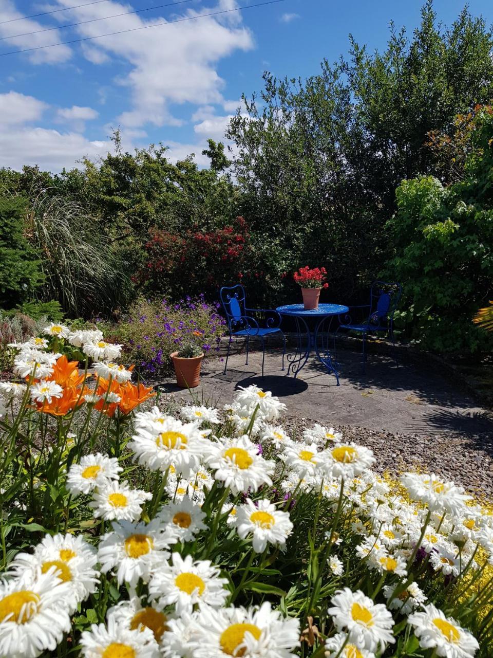 Apartments At Ballinsheen House & Gardens 利敦瓦纳 外观 照片