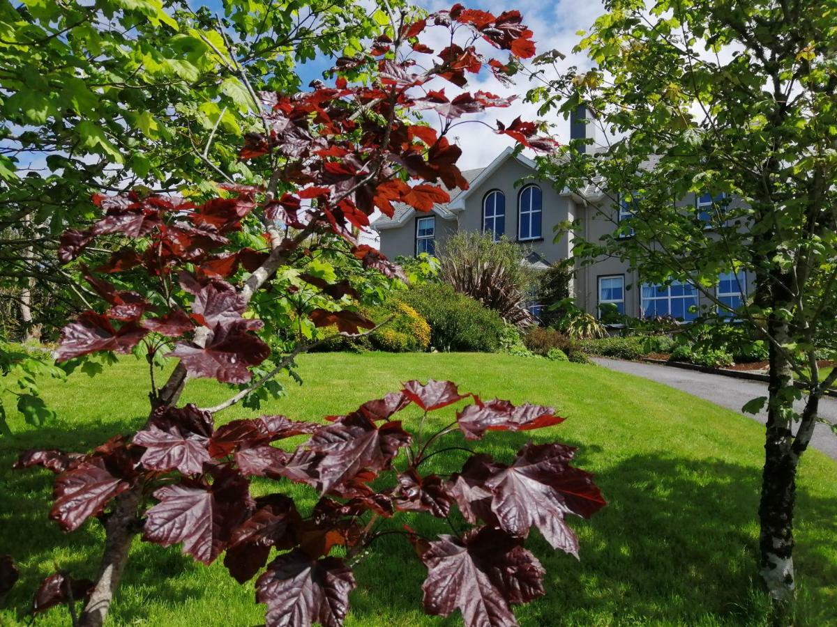 Apartments At Ballinsheen House & Gardens 利敦瓦纳 外观 照片